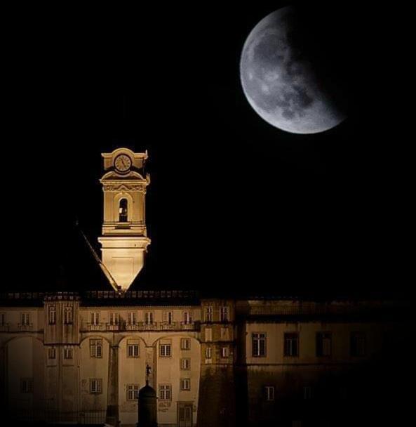 Essencyahomeكويمبرا المظهر الخارجي الصورة
